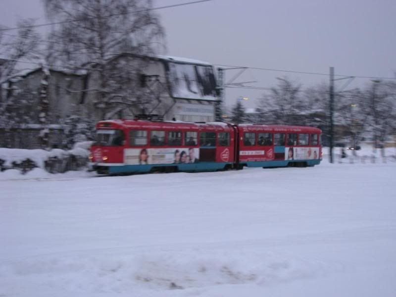 Dar ispod bora (Sarajevo) Sa33