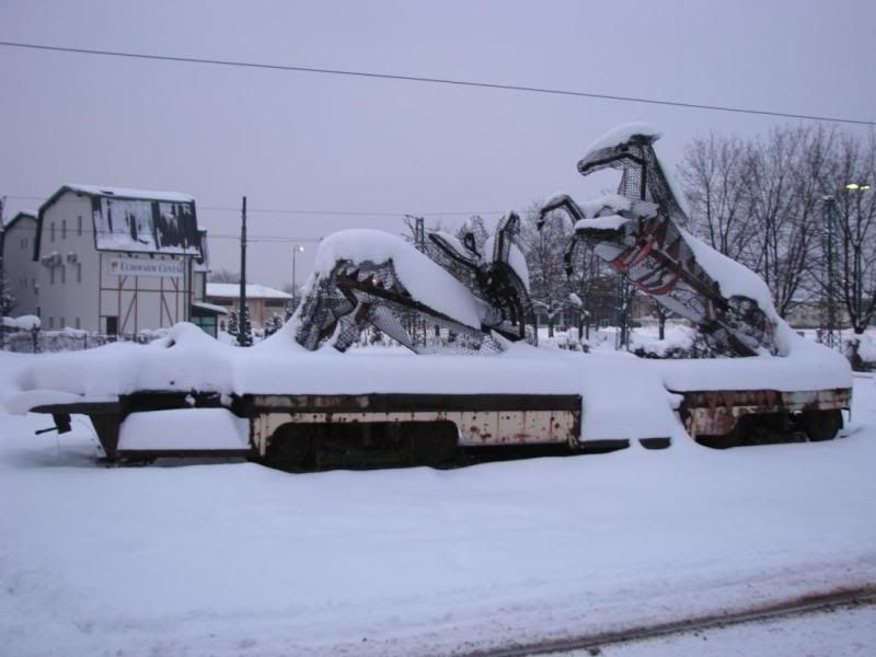 Dar ispod bora (Sarajevo) Sa37