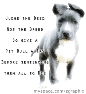TO all dog lovers Th_judgepits