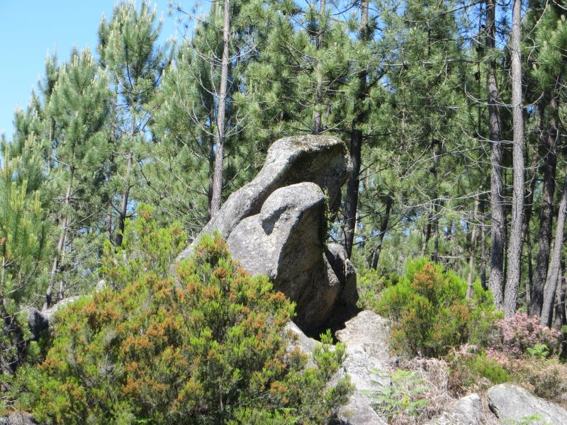 GERÊS DE MAIO A JUNHO... [Crónicas pág. 6, 7 e 8] - Página 5 IMG_9212_zps8b38bcc6