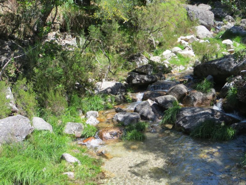 GERÊS DE MAIO A JUNHO... [Crónicas pág. 6, 7 e 8] - Página 5 IMG_9215_zps16d15489