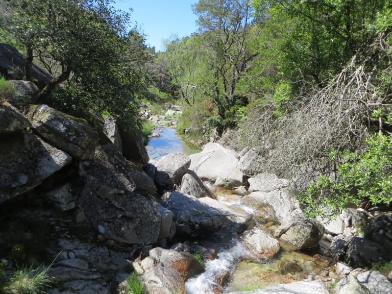 GERÊS DE MAIO A JUNHO... [Crónicas pág. 6, 7 e 8] - Página 5 IMG_9216_zps45b97154