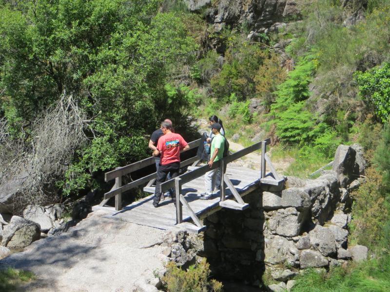 GERÊS DE MAIO A JUNHO... [Crónicas pág. 6, 7 e 8] - Página 5 IMG_9217_zps2855f70a