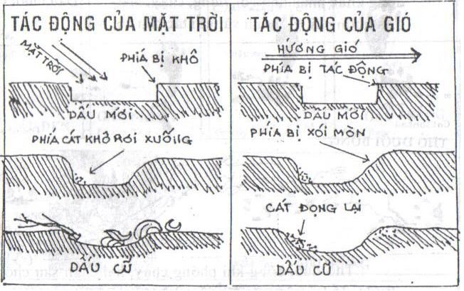 Quan sát dấu vết và nhận dạng. 6gn2