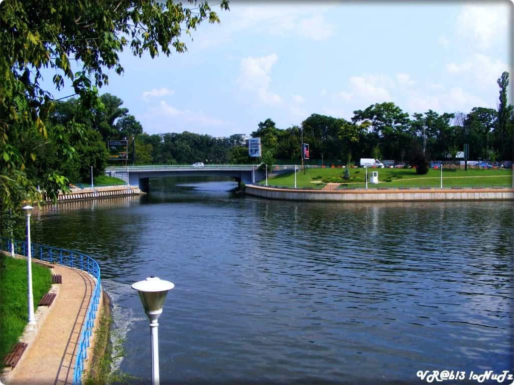 VIADUCTE,PODURI, PUNŢI                                 DSCF8488