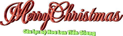 Logo CLB. Hoa lan Tiền Giang 20111224155016