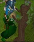 R E D X v2 gets 99 woodcutting! Redv2992