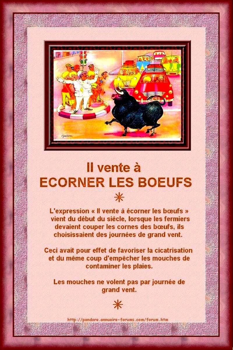 ECORNER LES BOEUFS 1-3