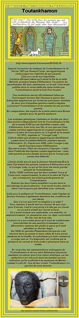 TOUTANKHAMON  - FRUIT D'UN INCESTE ? 1AA-1