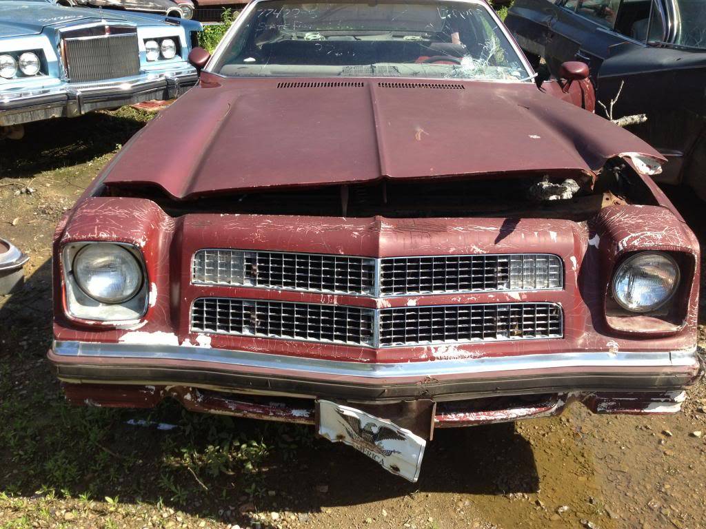 huge classic car junkyard Image_zps18117a8b