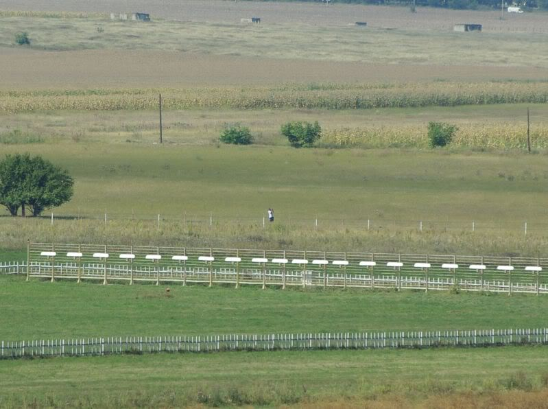 Aeroportul Bacau - Septembrie 2009 _IGP7642