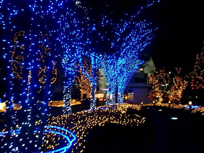 Những bức ảnh Merry Christmas tuyệt vời  Christmas-light09