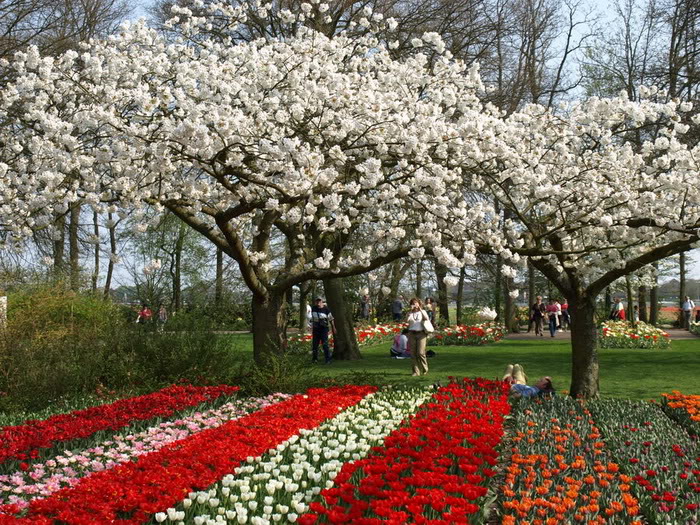 20 Outstanding Flower Garden Photos Anh-dep-vuon-hoa-p1-11