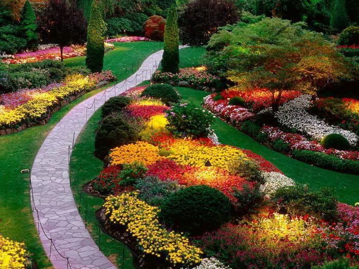 flower garden