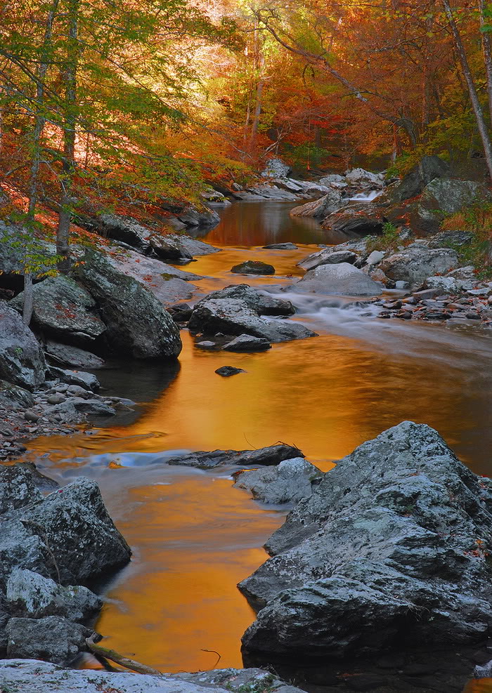 صورة رهيبة نهر الخريف   *&*   Awesome Autumn River Photo Song-suoi-mua-thu04