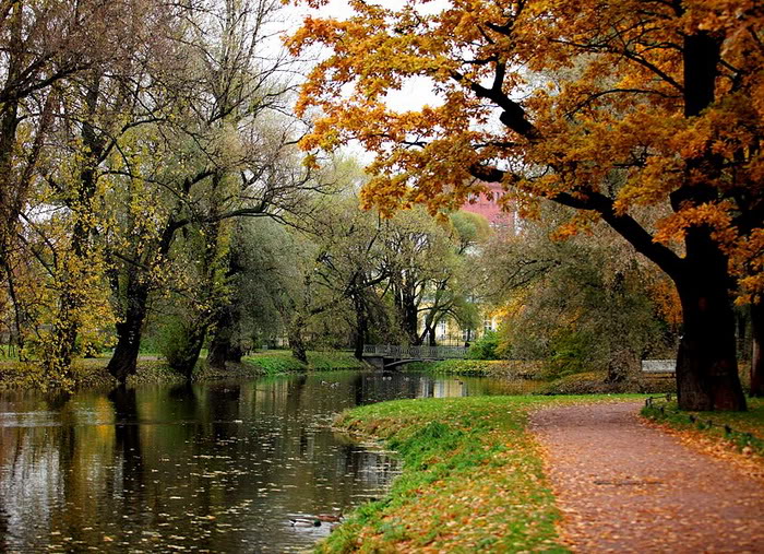 صورة رهيبة نهر الخريف   *&*   Awesome Autumn River Photo Song-suoi-mua-thu08