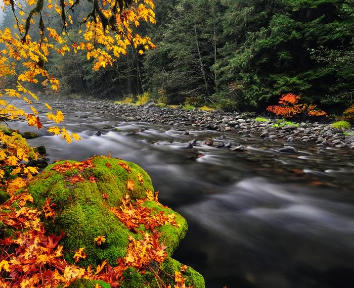 صورة رهيبة نهر الخريف   *&*   Awesome Autumn River Photo Song-suoi-mua-thu09