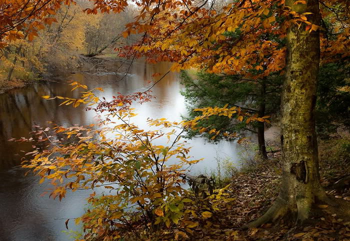 صورة رهيبة نهر الخريف   *&*   Awesome Autumn River Photo Song-suoi-mua-thu10