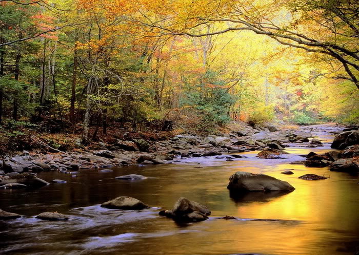 صورة رهيبة نهر الخريف   *&*   Awesome Autumn River Photo Song-suoi-mua-thu13