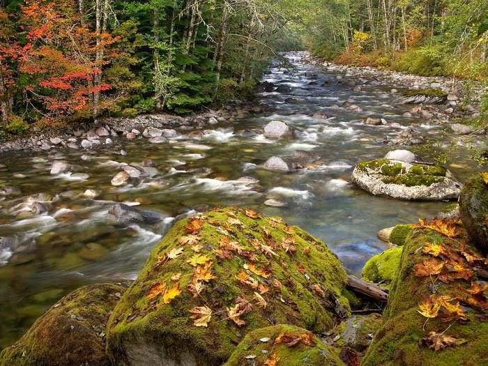 صورة رهيبة نهر الخريف   *&*   Awesome Autumn River Photo Song-suoi-mua-thu18