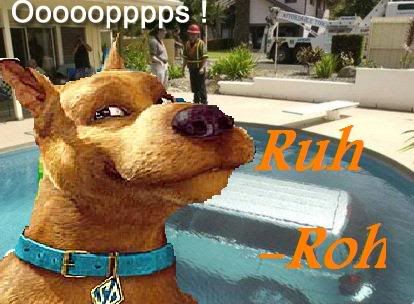 Scoobys Pool Party Ruhroh