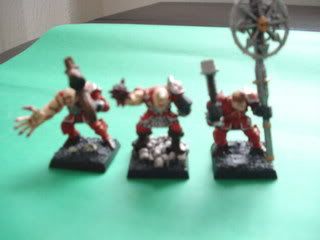 The Ravagers - Blogue de Warriors of Chaos DSC02412