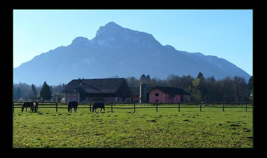 Teste - Santo de bronze de Unicórnio Austrian_Farm_by_pavecarp