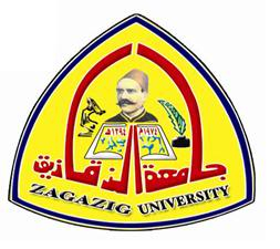 نتيجه جامعات الزقازيق Zulgoo