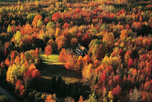 [PICS] THE WORLD'S AMAZING SECLUDED HOUSES Secluded-house4