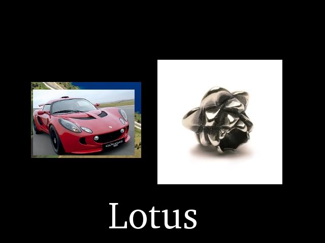Image puzzle 1 - Stats, answers and winner! Lotusc