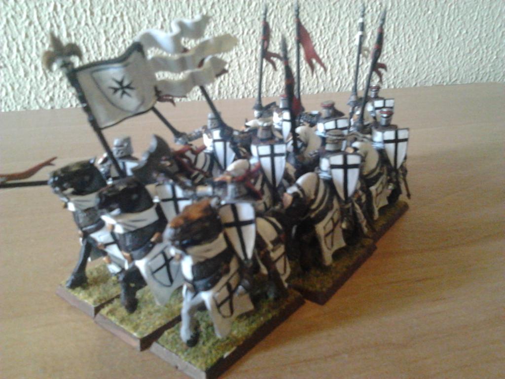 Bretonnians WIP 2014-10-14153318_zps8f9bcfde