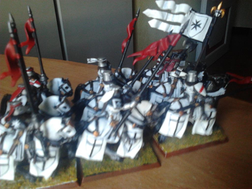 Bretonnians WIP 2014-10-14153557_zps3ffa2f85