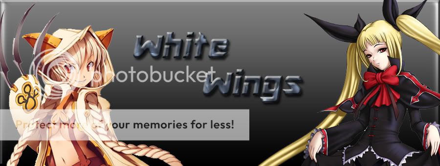 White wings 23copia