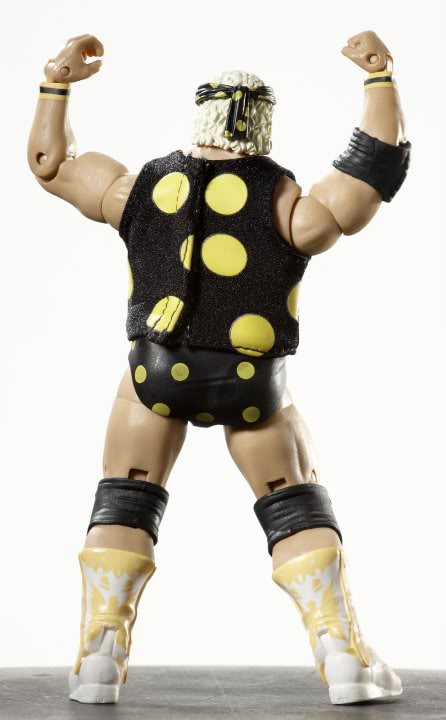 WWE Legends Serie 1 30101_397295964259_177709544259_397