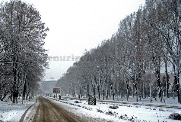 Bucuresti: Plimbari FeRoviaRe prin Garile bucurestene[2008] 2-AleeacuPlopidelaPolitehnica_resize_zpsd1b81dcc