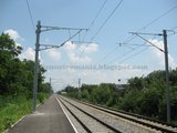 Bucuresti: Plimbari FeRoviaRe prin Garile bucurestene[2008] Th_79-PeronulhalteiBranesti-SatpeM800_resize_zps5978b512