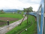 Excursie FeRoviaRă Suceava - Nisipitu: TrenoNatură românească Th_99-Stalpitelegraficidrumuriproastes