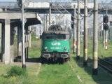 M510, M500: Excursie FeRoviaRa Falticeni - Pascani - Bacau [2008] Th_116-VederefrontalaculocomotivafrantuzeascadelaGFR_resize