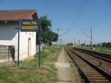 M500: Falticeni - Dolhasca - Pascani - Roman - Bacau [2008] Th_69-VederespreNord-Vicsani_resize