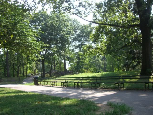 Central Park CIMG5518