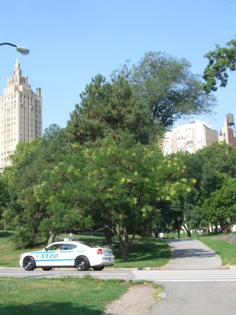 Central Park CIMG5525