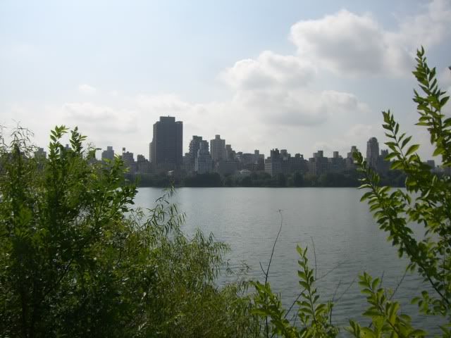 Central Park CIMG5534