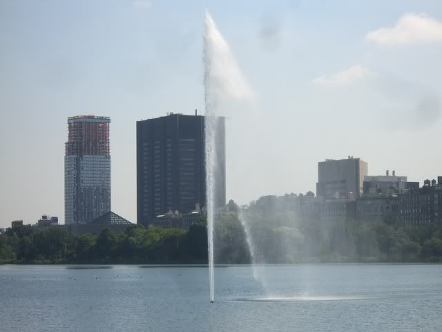 Central Park CIMG5811