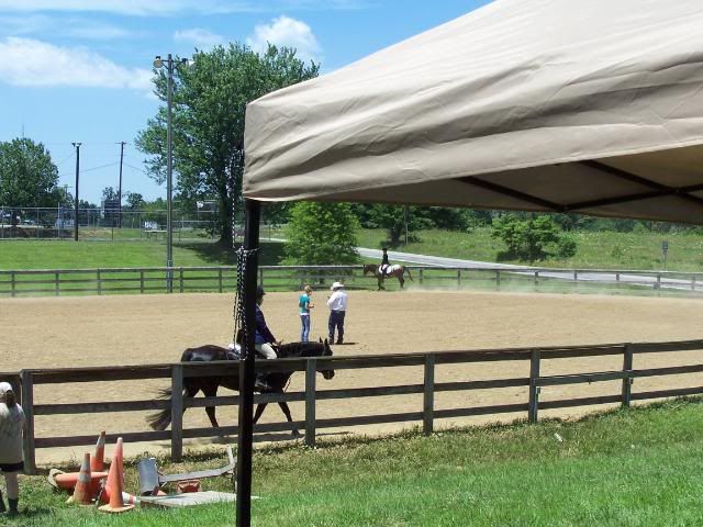 4h fair - a picture or 100-pic overload 104_2555