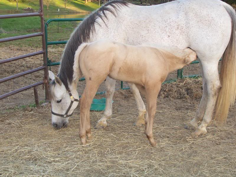 my boy almost a month old April1711