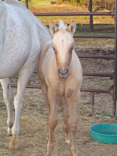 my boy almost a month old April1712