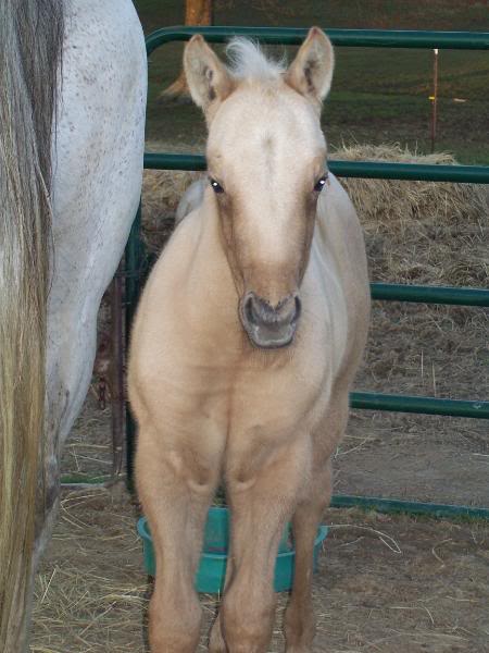 my boy almost a month old April1718