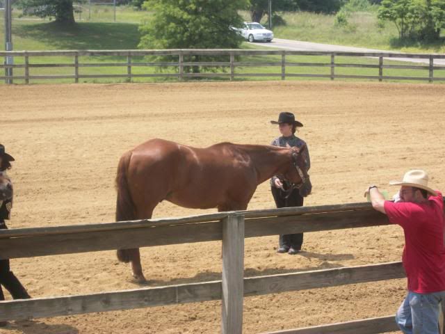 4h fair Fair20108