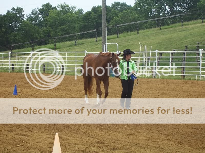 horse show sunday Rachelnickjuly1show5