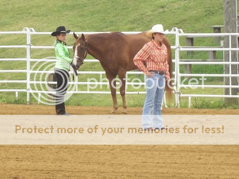 horse show sunday Rachelnickjuly1show6